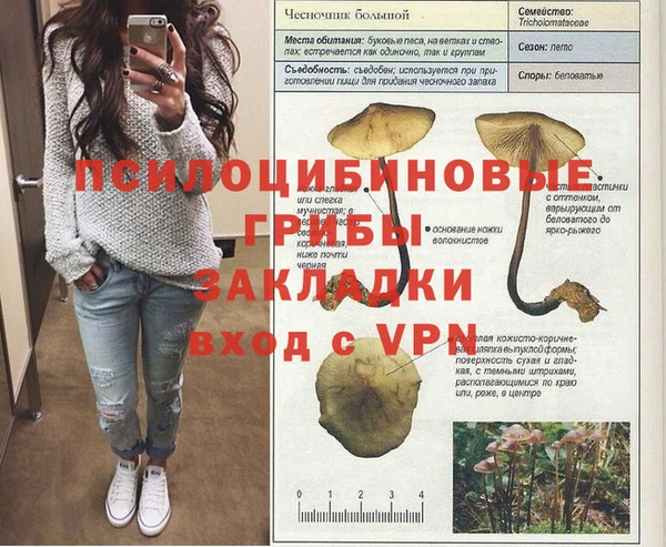 МДПВ Киреевск