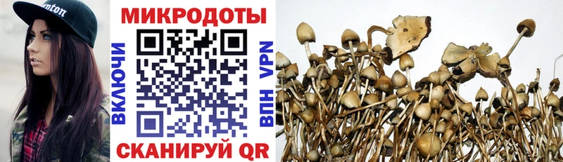 Псилоцибиновые грибы Psilocybe  Купить закладки  Ворсма 