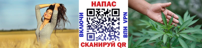 Купить где  Ворсма  Бошки марихуана OG Kush 